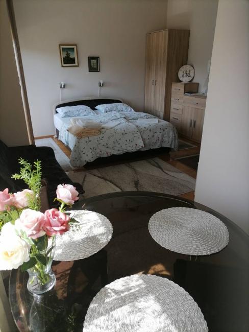 Studio apartman Lada