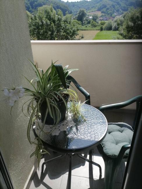 Studio apartman Lada