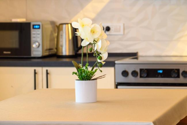 Apartman Mamma, Sveti Križ Začretje